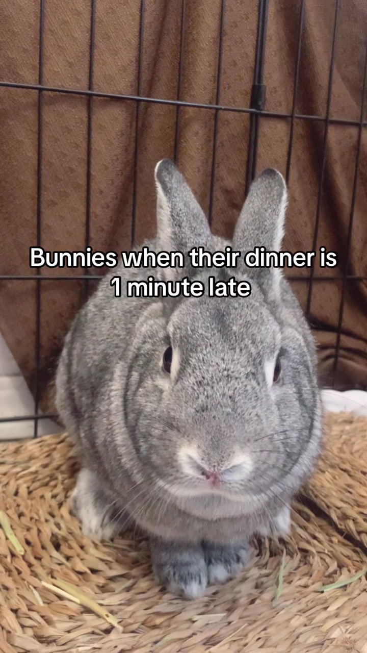 @interestinglilcreature