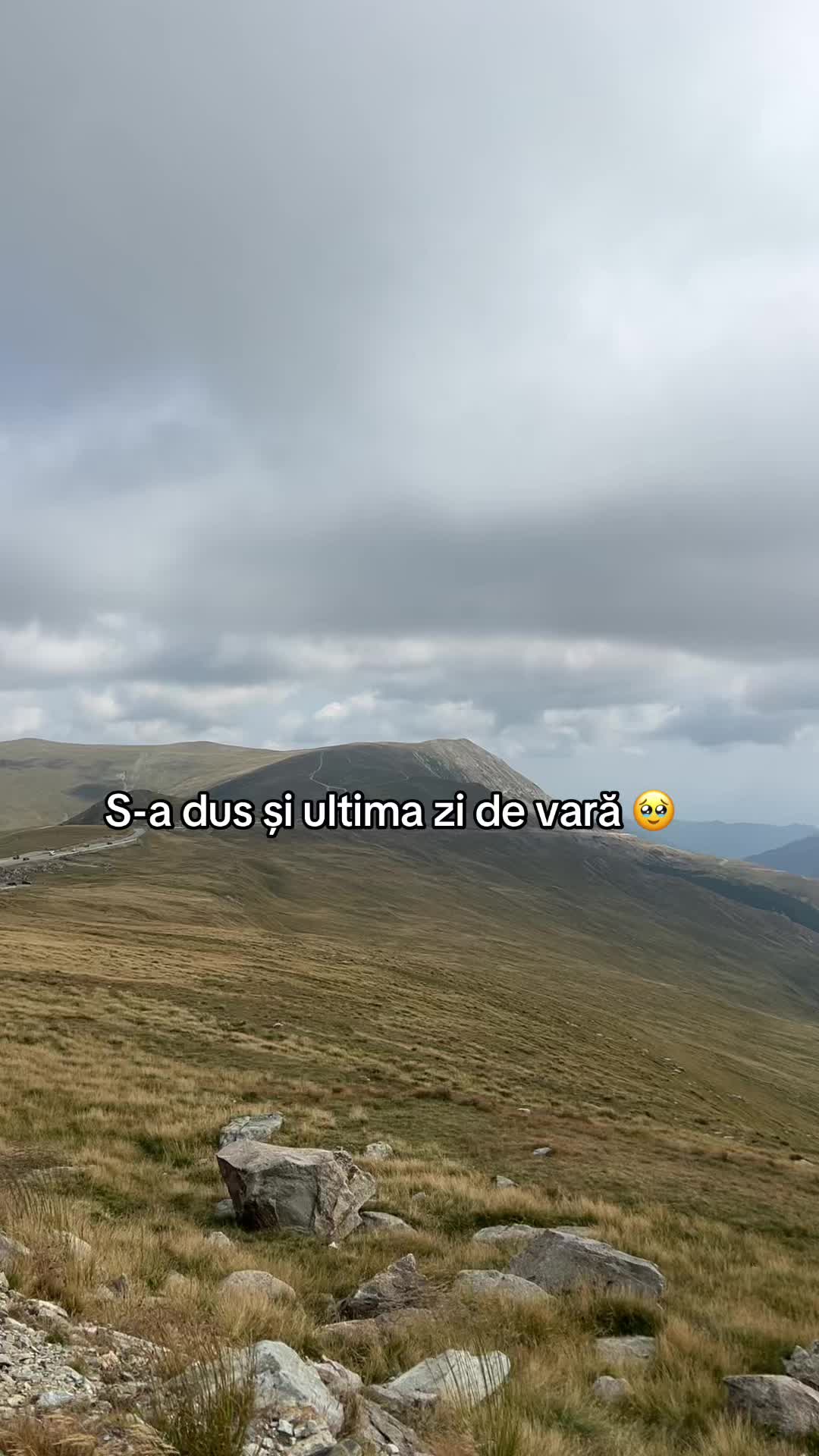 @Biancam13
