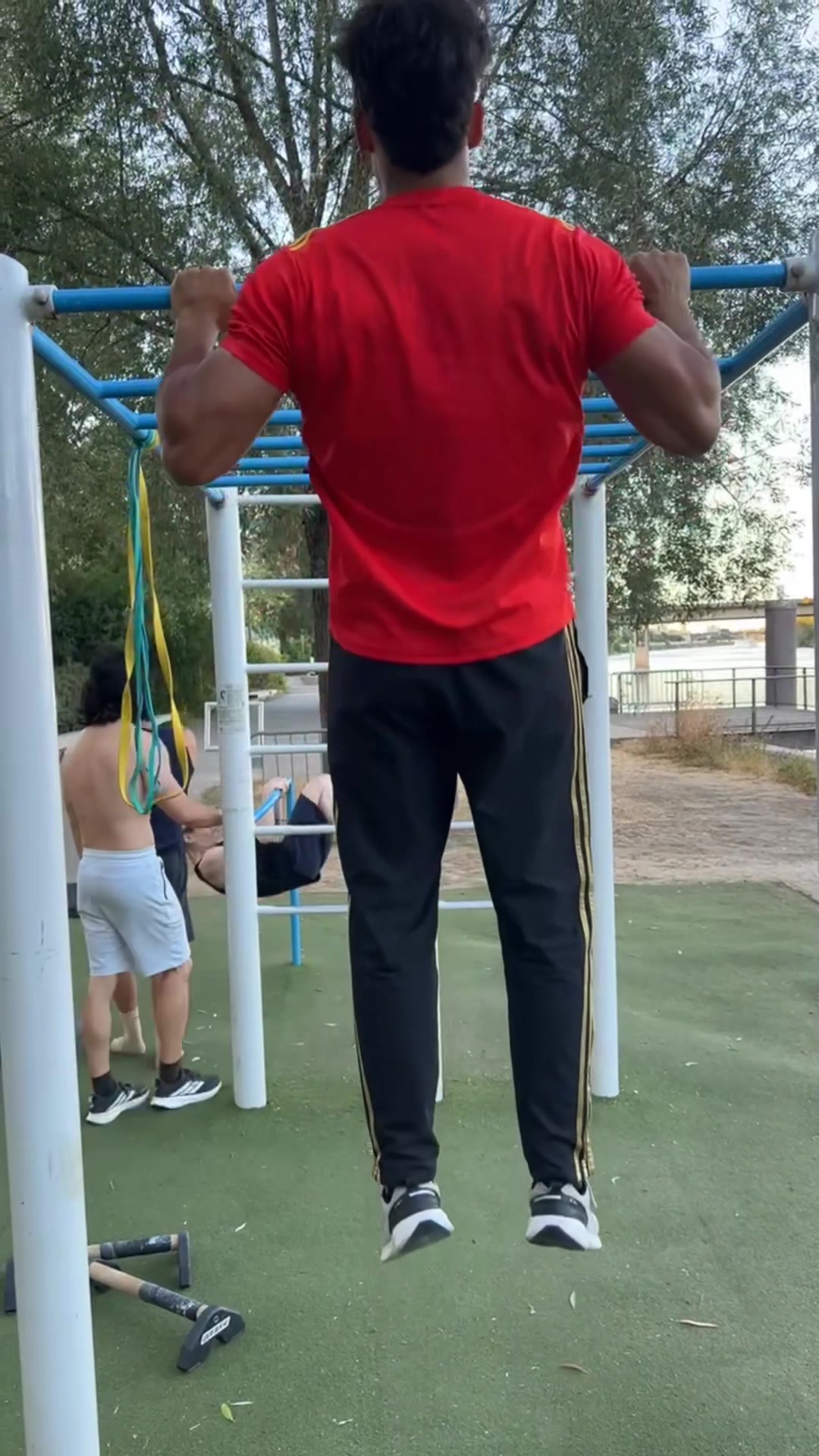 @flvcoach
