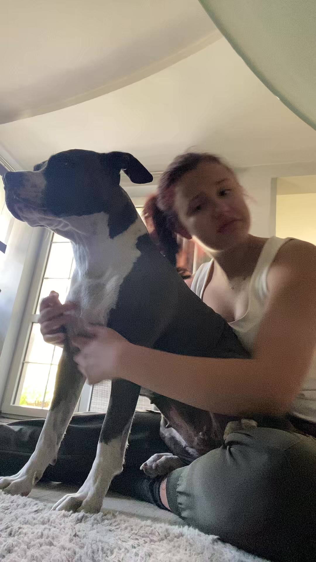 @happy_petsitterka