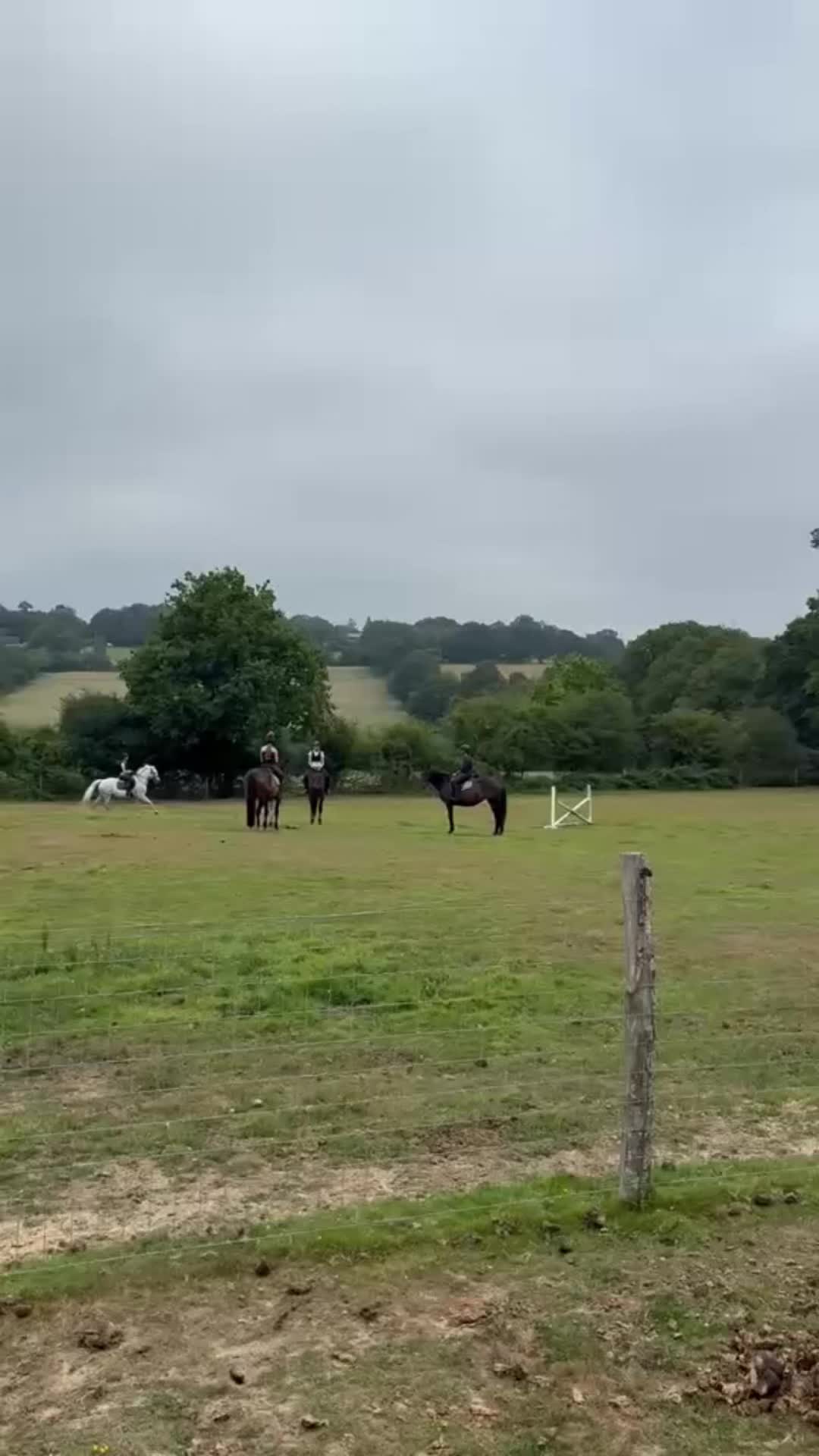 @Kitty equestrian.