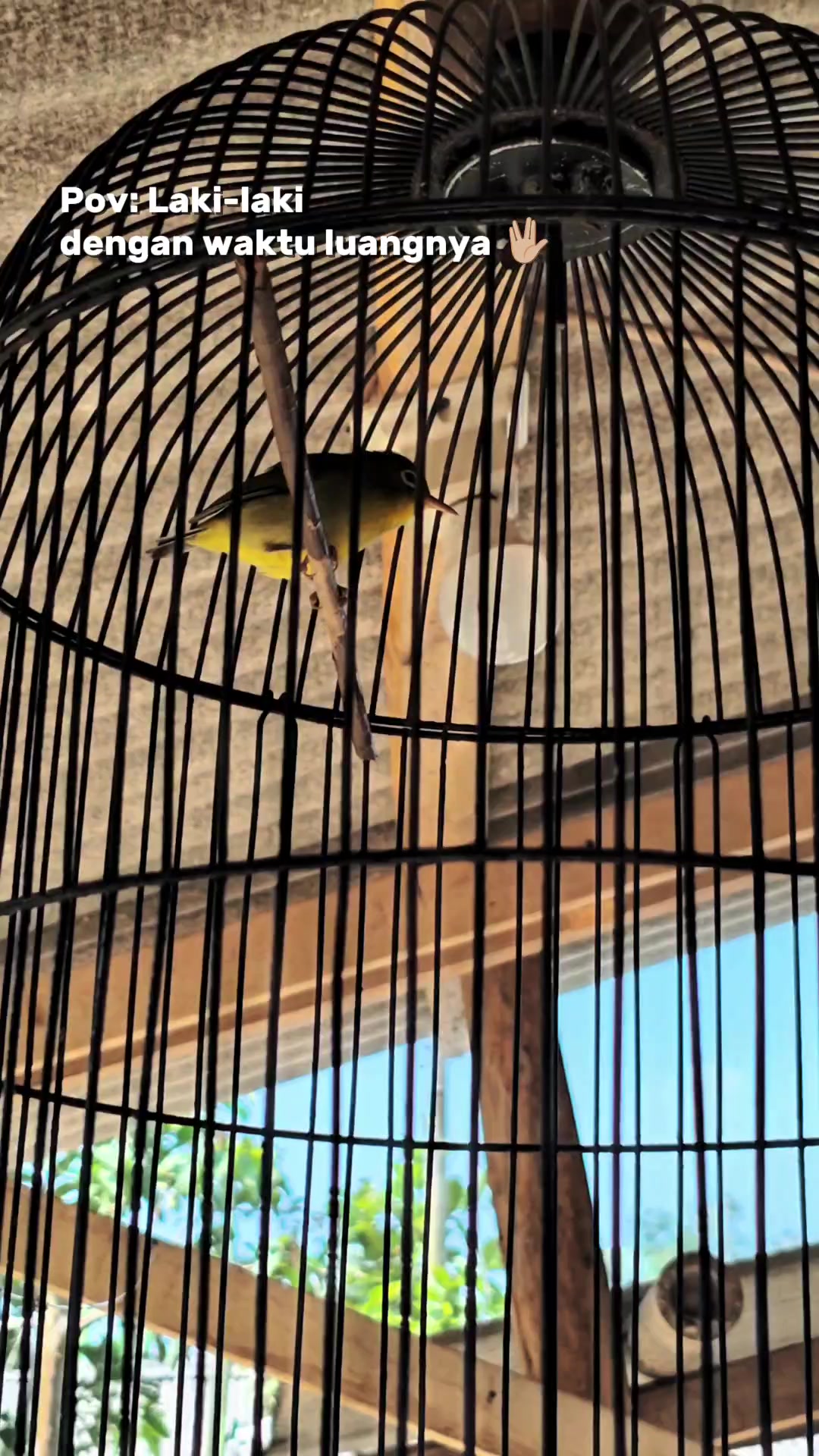 @NDX BIRD FARM