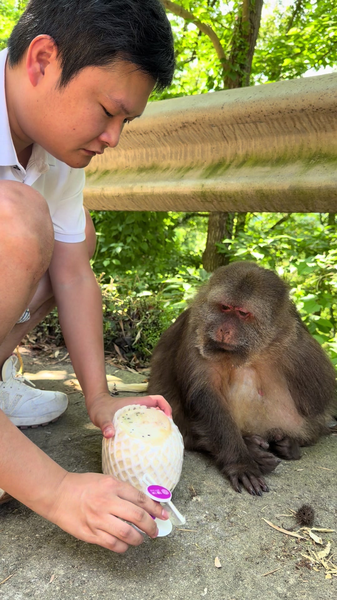 @xingxing.themonkey