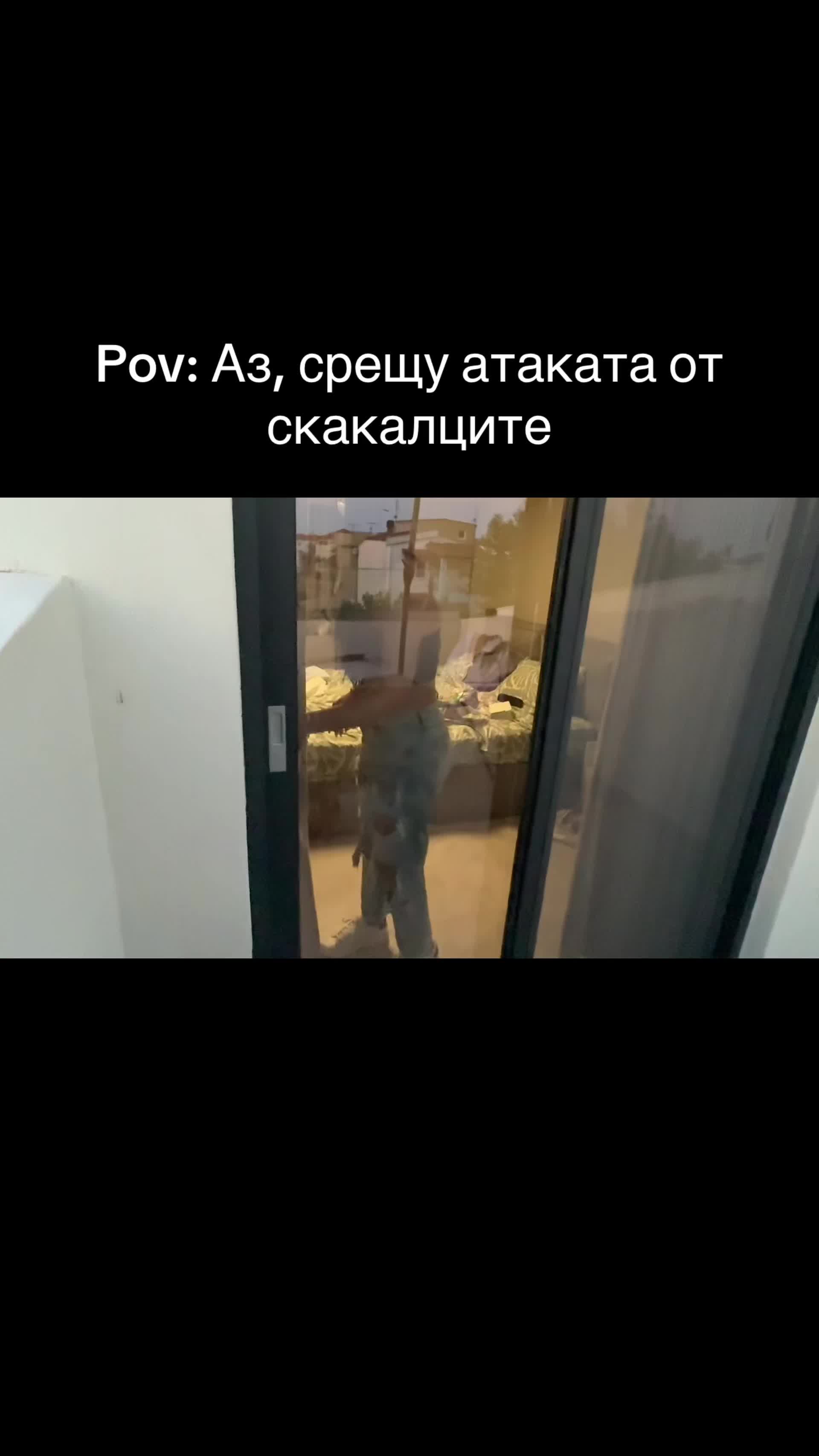 @VC Zvezdi94