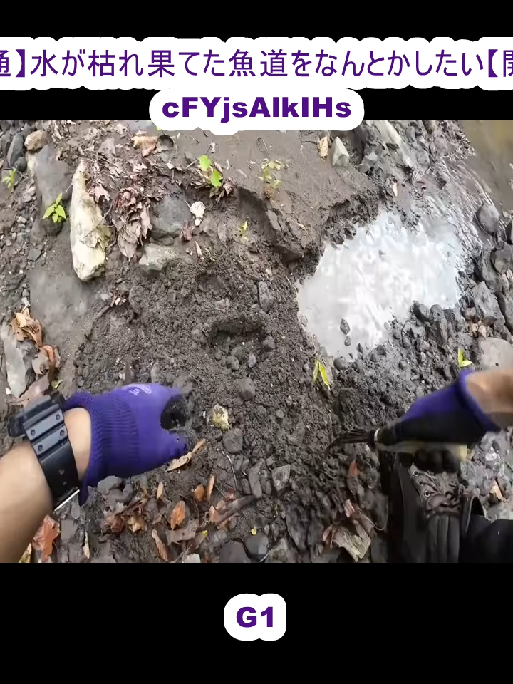 @marianadriana19634