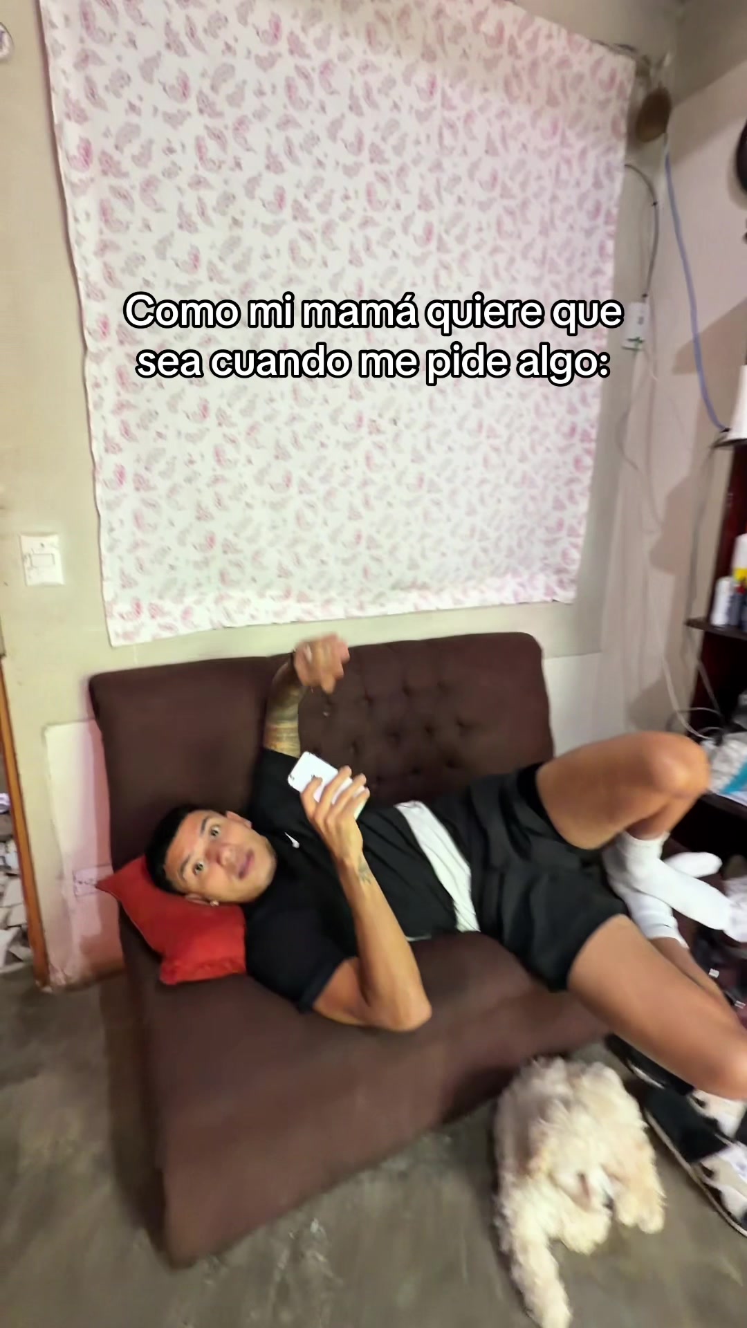@tirri_cr