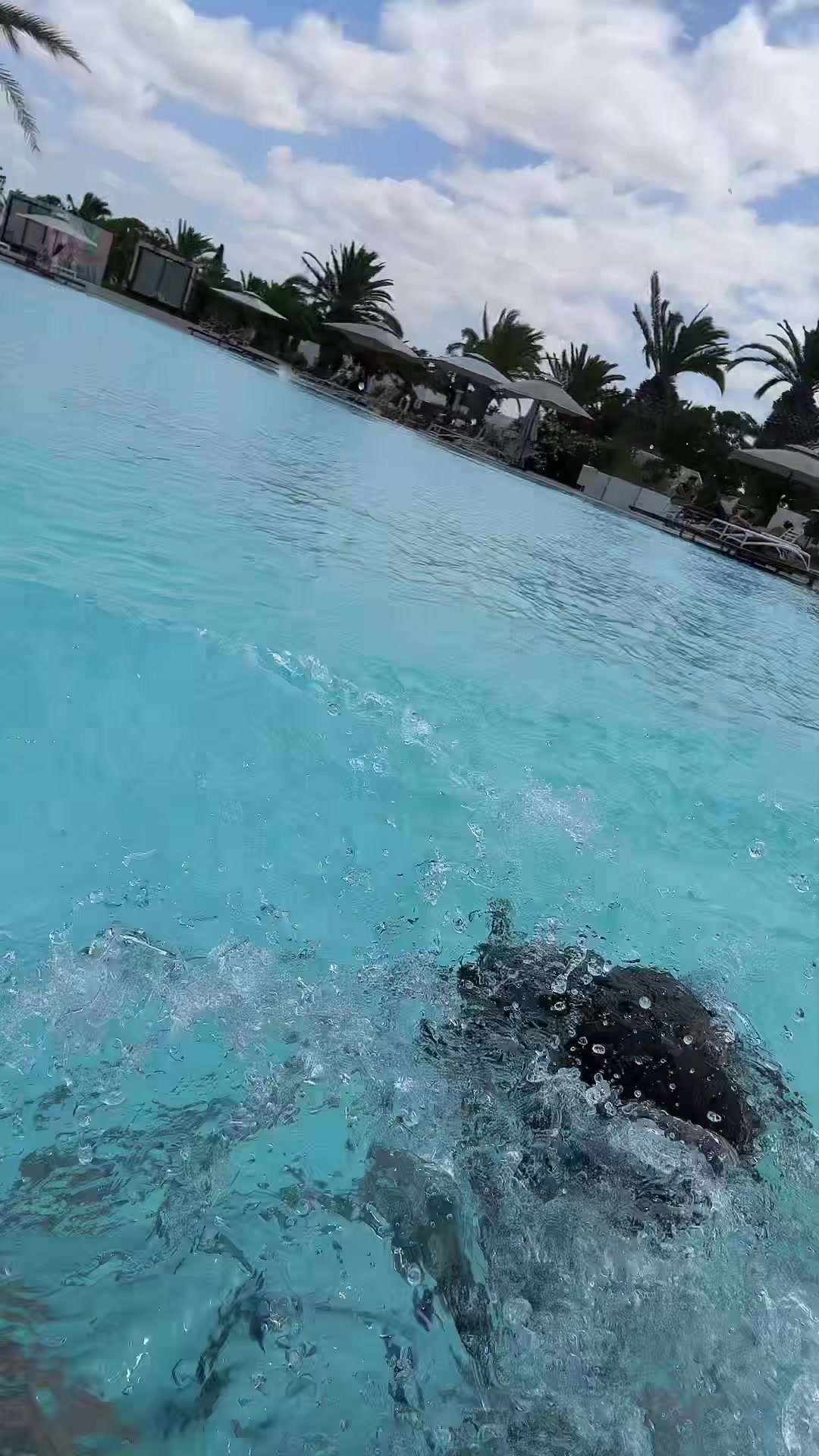 @Jessica 🫶🏻