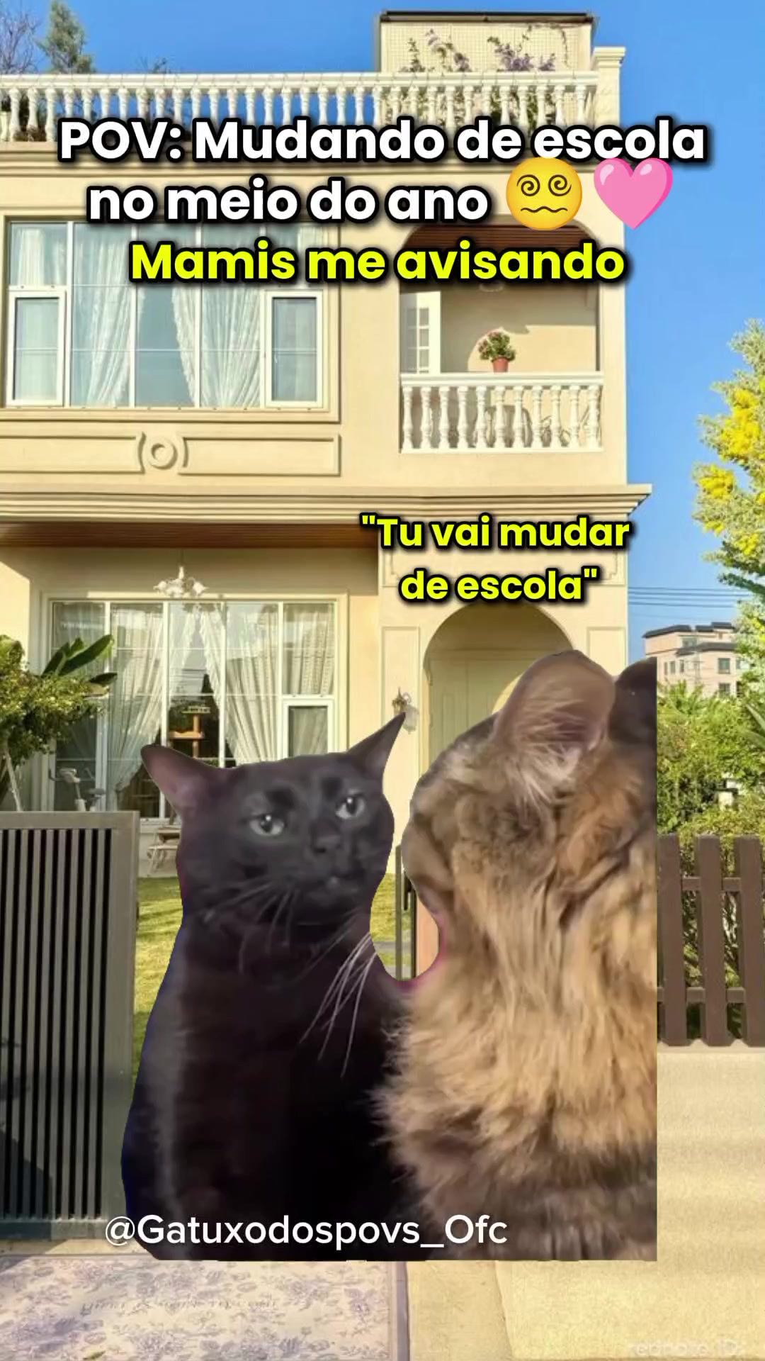 @Gatuxo Dos Povs Ofc
