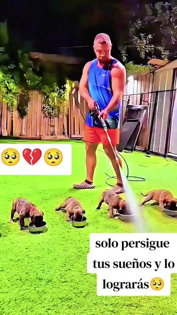 @🇳🇮🛡️flakito⚔️🇪🇸#1
