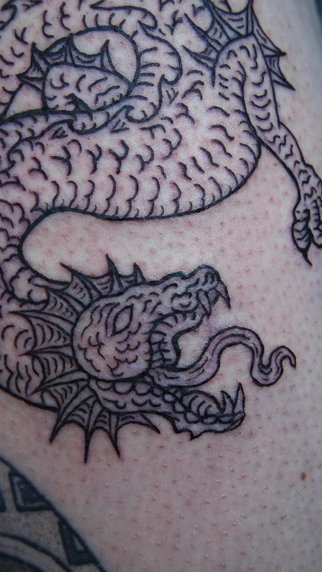 @lkovarovicc.tattoo