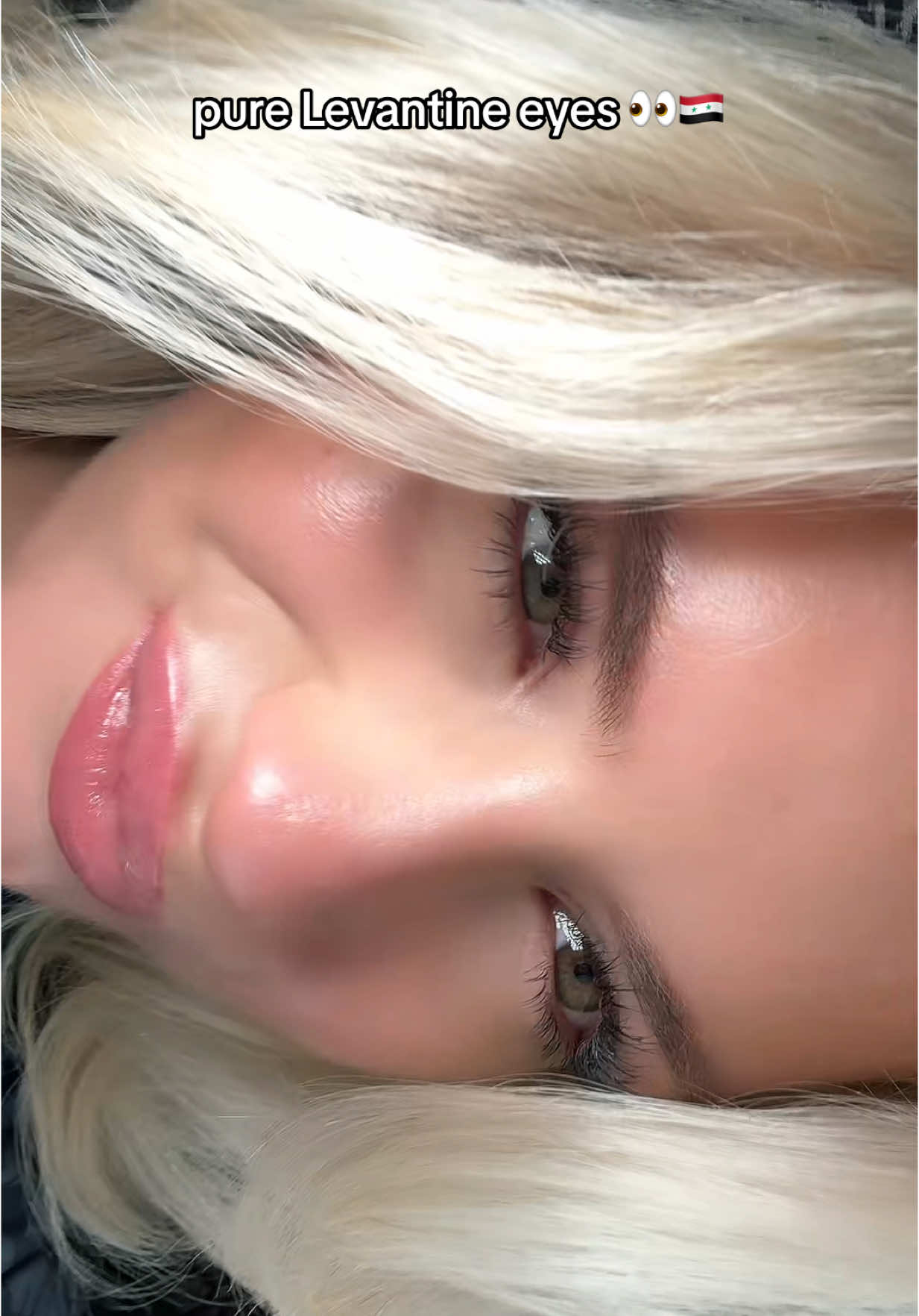 @dalia.gessel🇳🇱🇸🇾