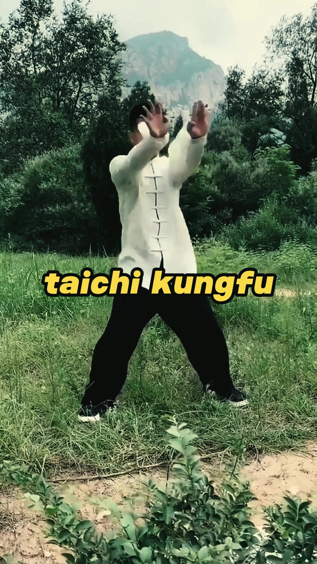 @taichituan