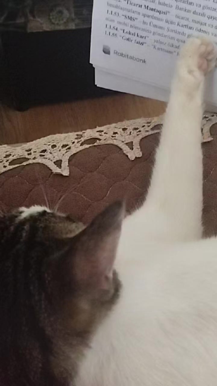 @miniş
