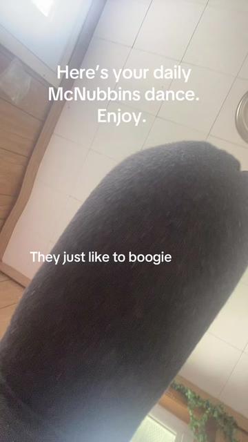 @MorelWitch🍄🟫🦇