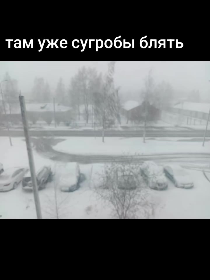 @заплесневейший ваукс