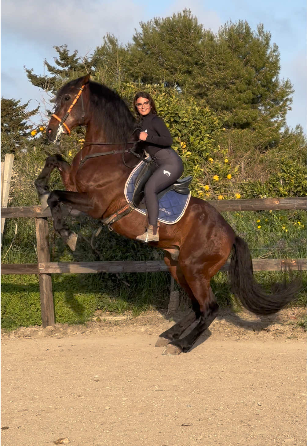 @Chiara Vitali 🐴