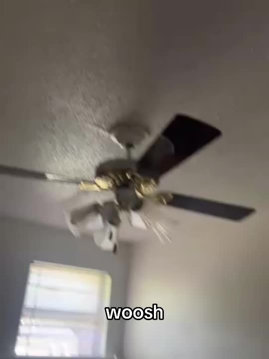 @Goobie Snoobie