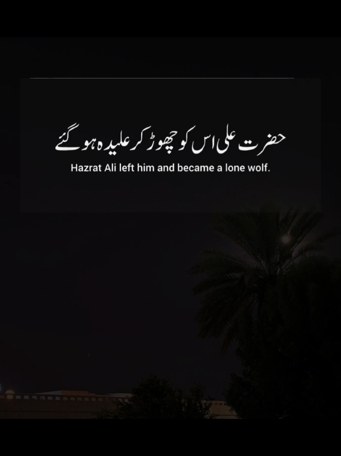 @SufiVibes UK🇬🇧🇵🇰