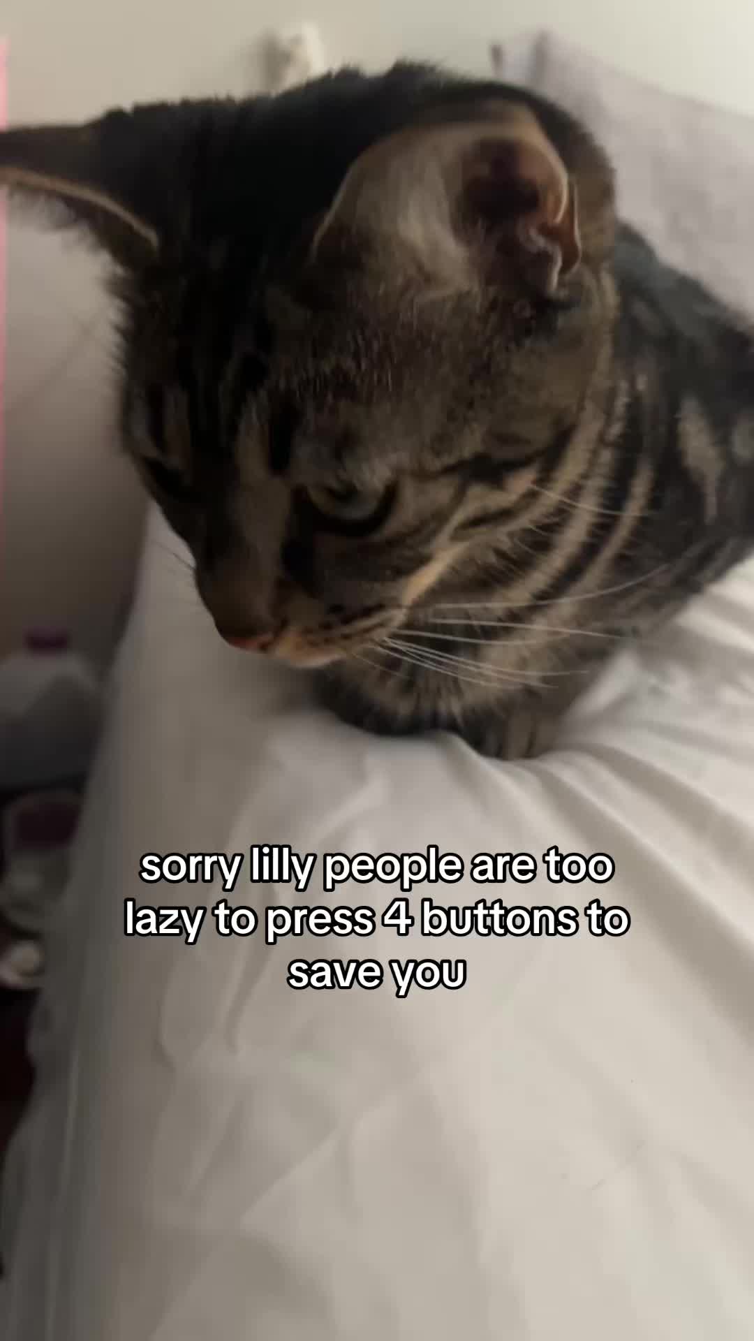 @Olivia