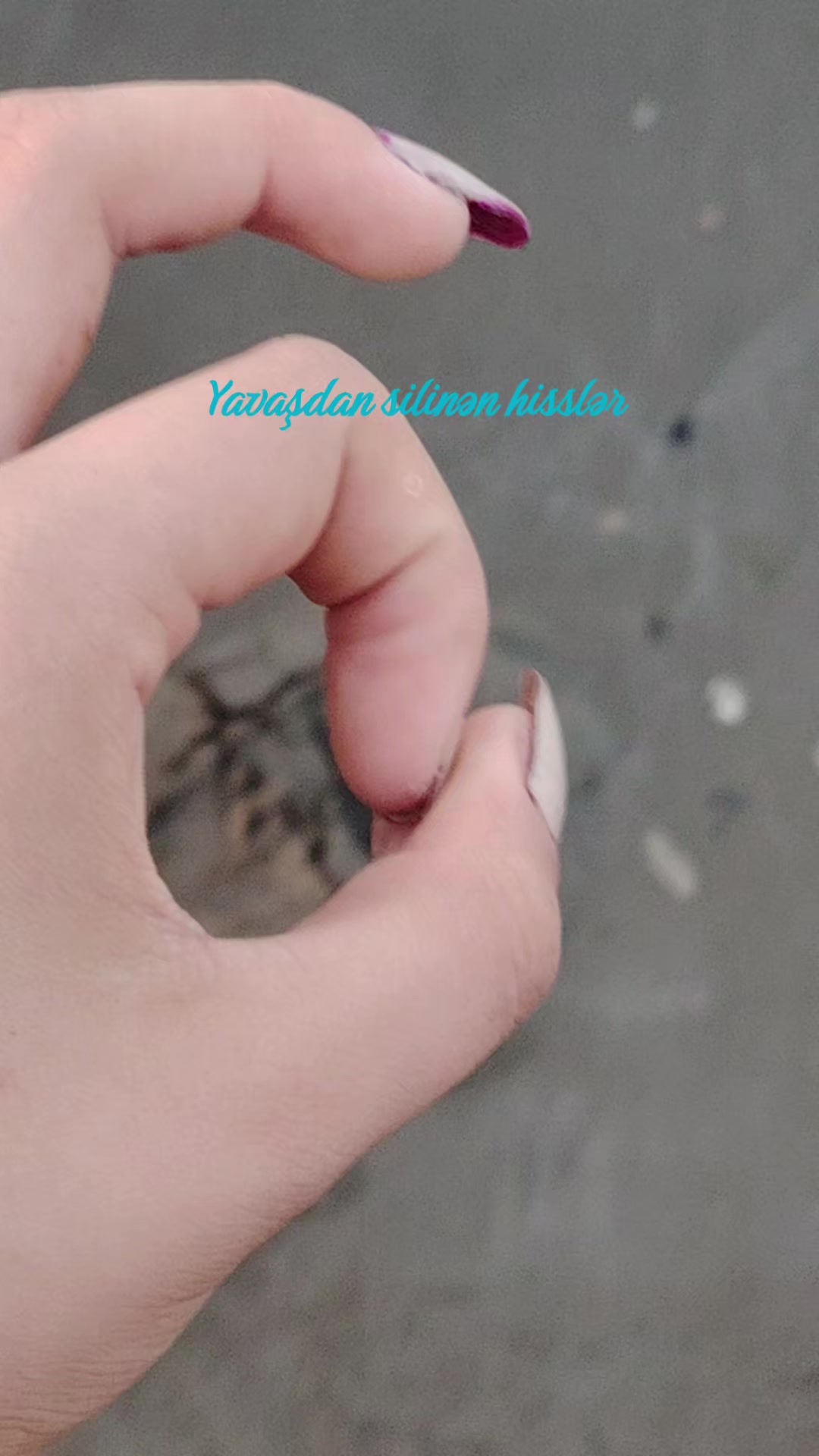 @𓆩𝓩𝓮𝔃𝓲𝓴𝓸𓆪