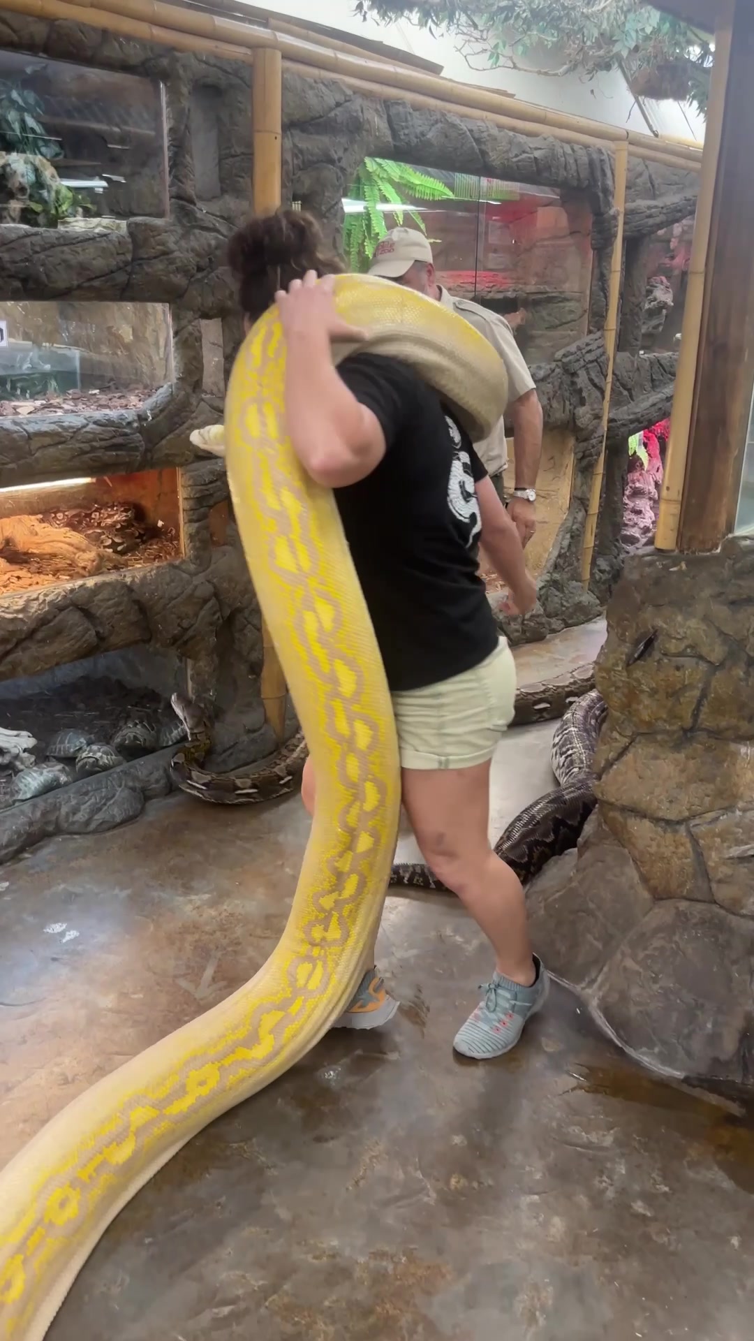 @The Reptile Zoo