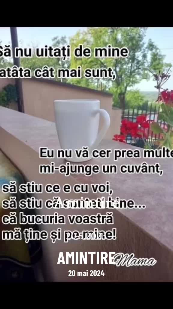 @Stanescu Magdalena