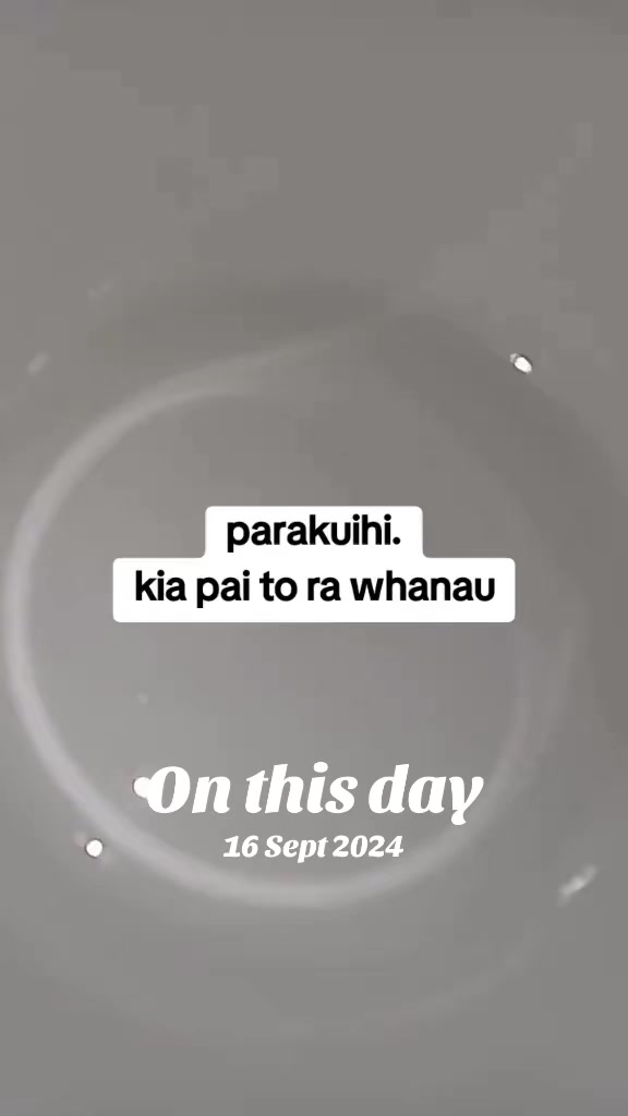 @๐ฉท๐๐๐๐๐๐๐๐๐