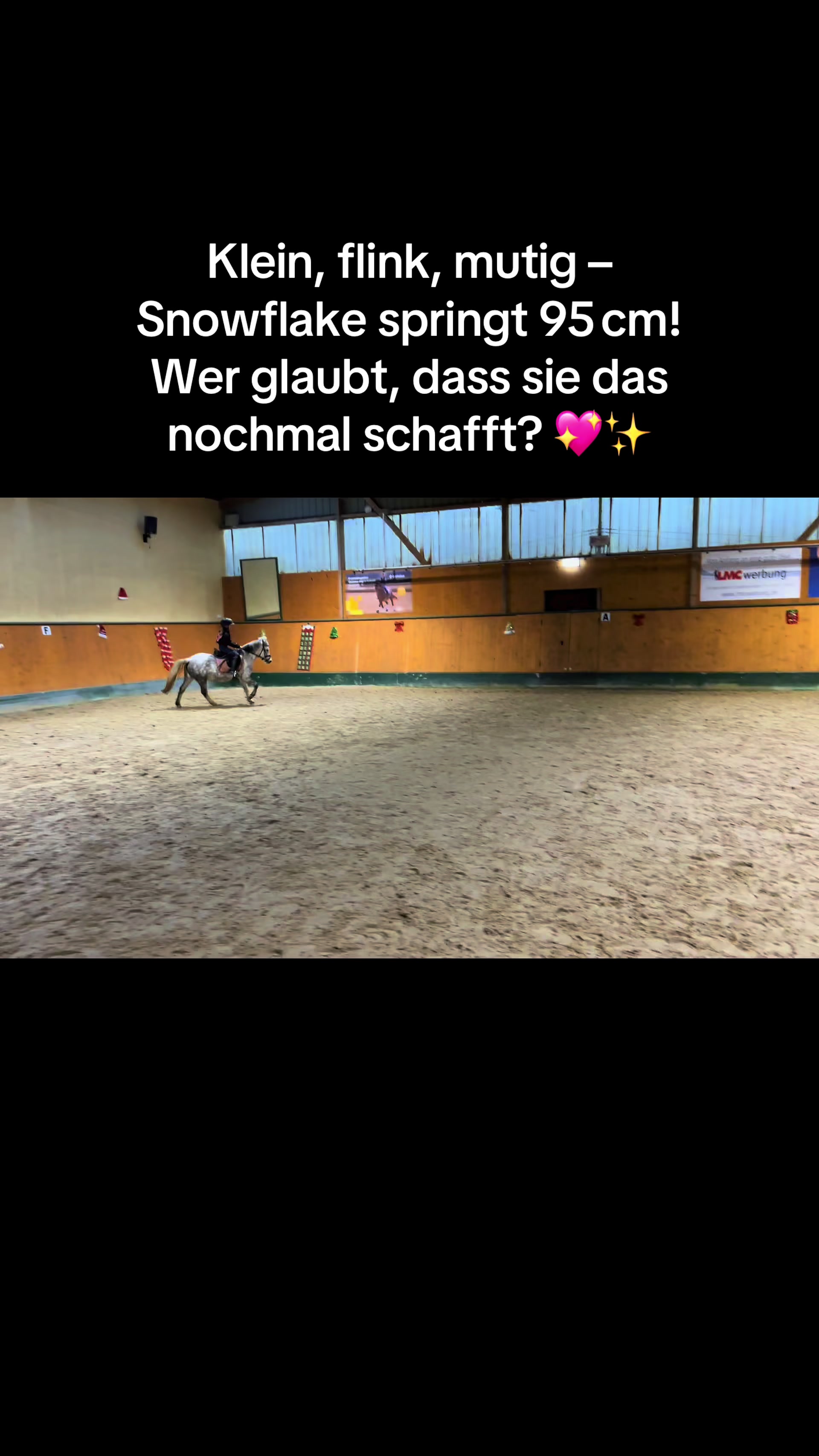 @Shanea & ihre Ponys ♥️🐴