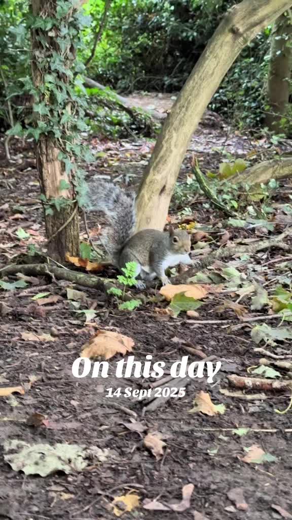 @flora_fauna_fur_feathers