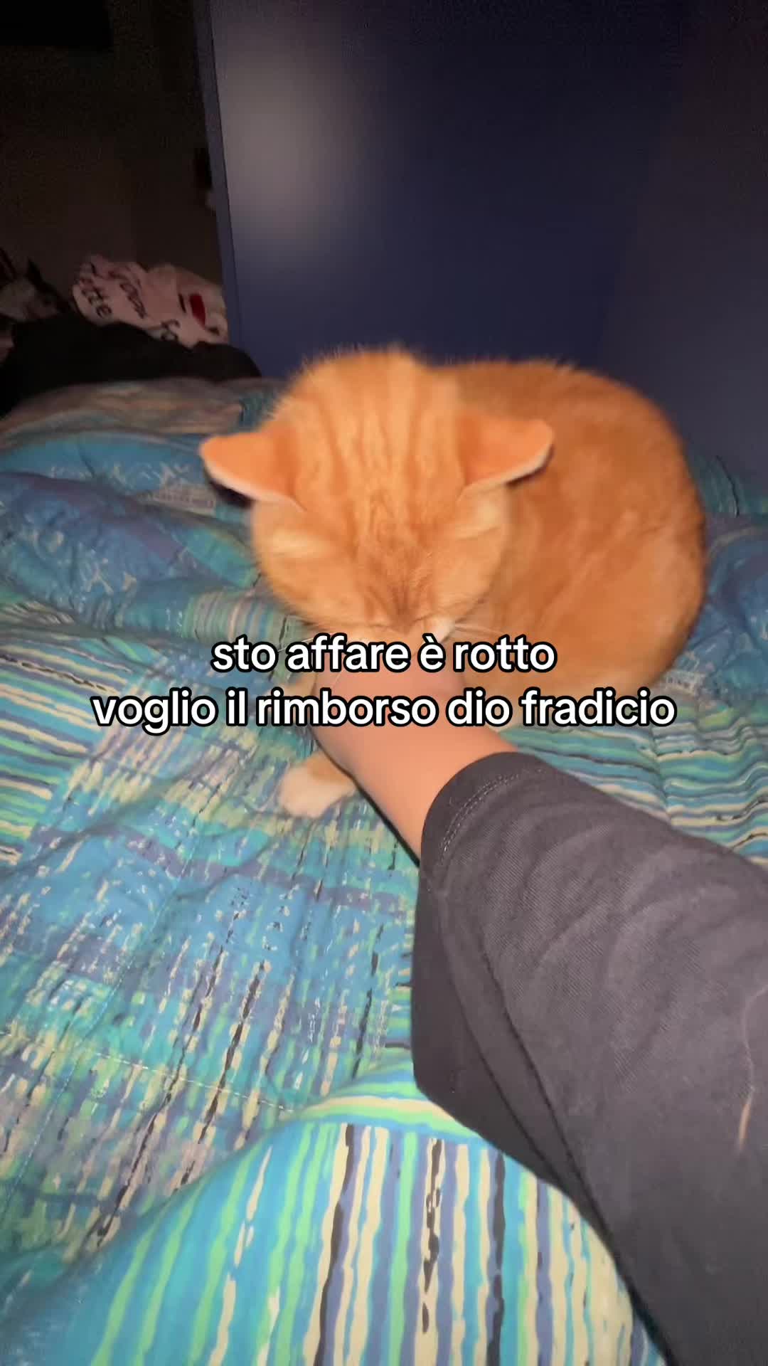 @Matteo