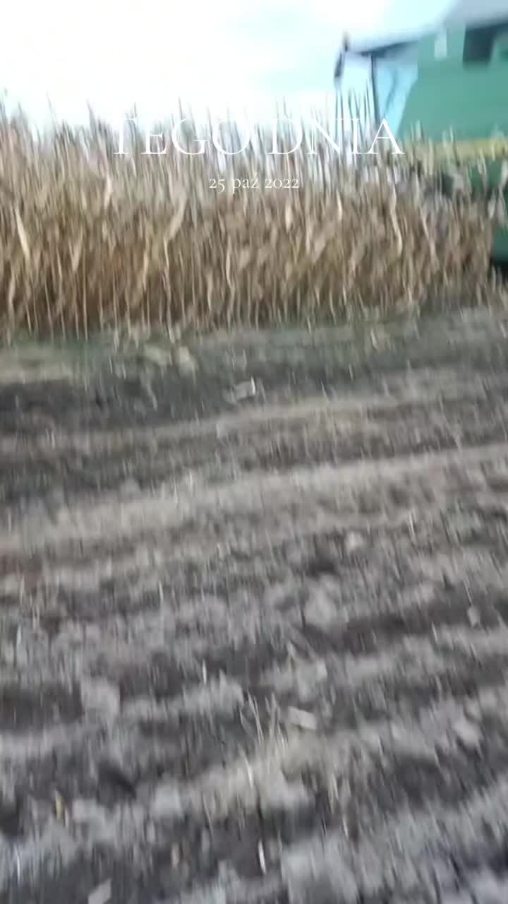 @Swiru97
