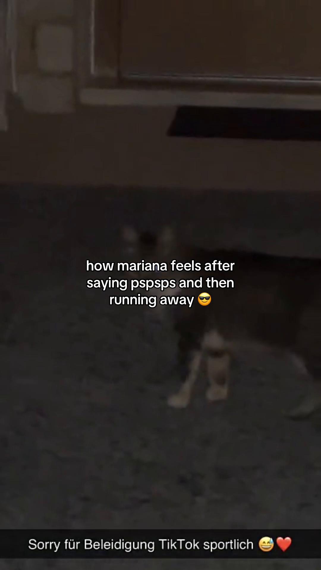 @ari