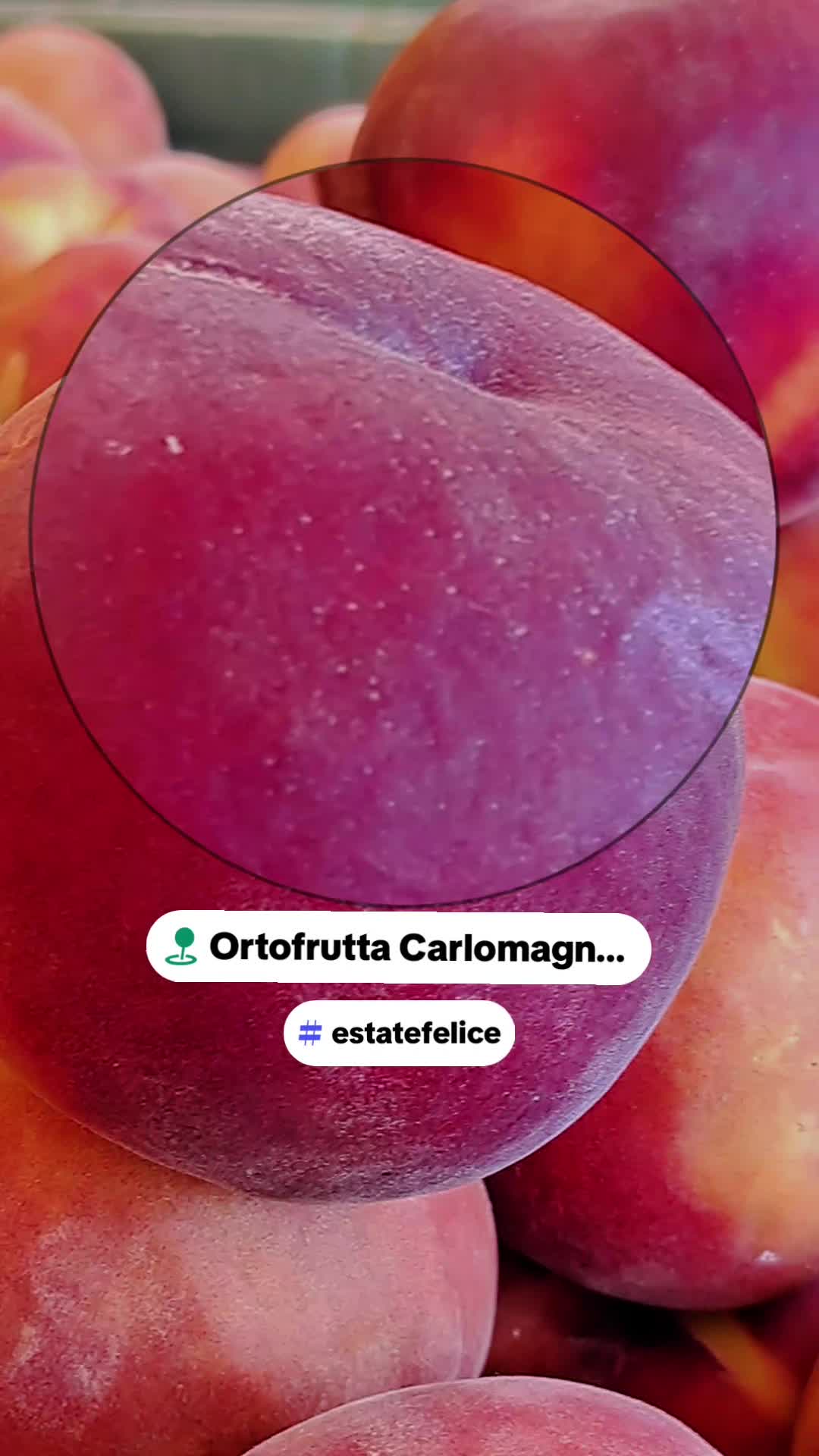 @carlomagnosalvato1