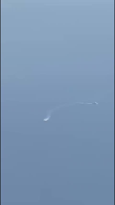 @il carrista di tik tok