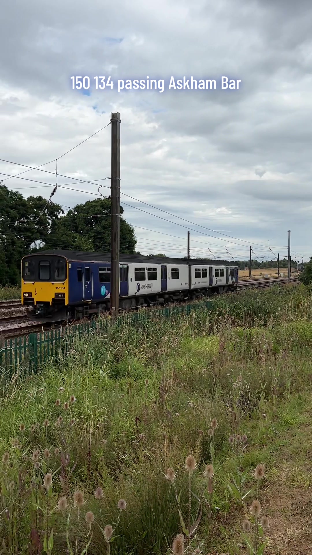 @The Duo of Train Lovers