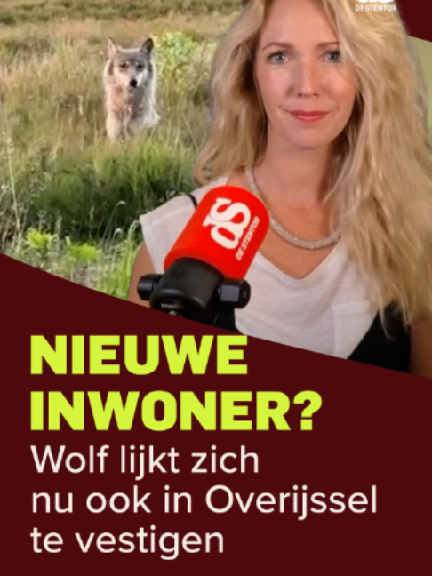@De Stentor