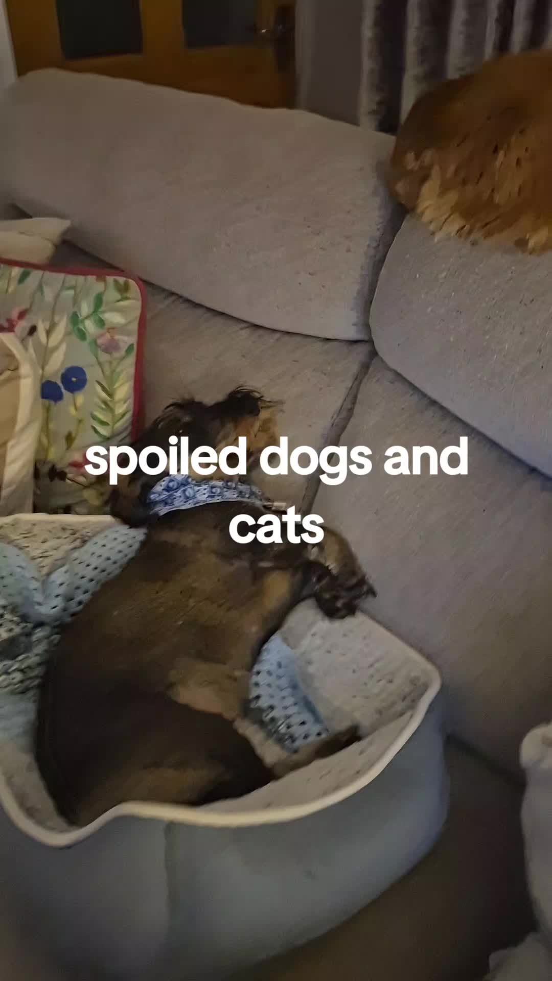 @wkd42