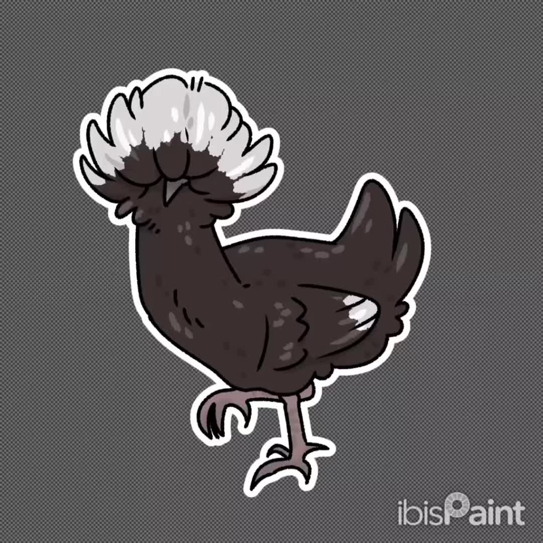 @Timberline Chickens