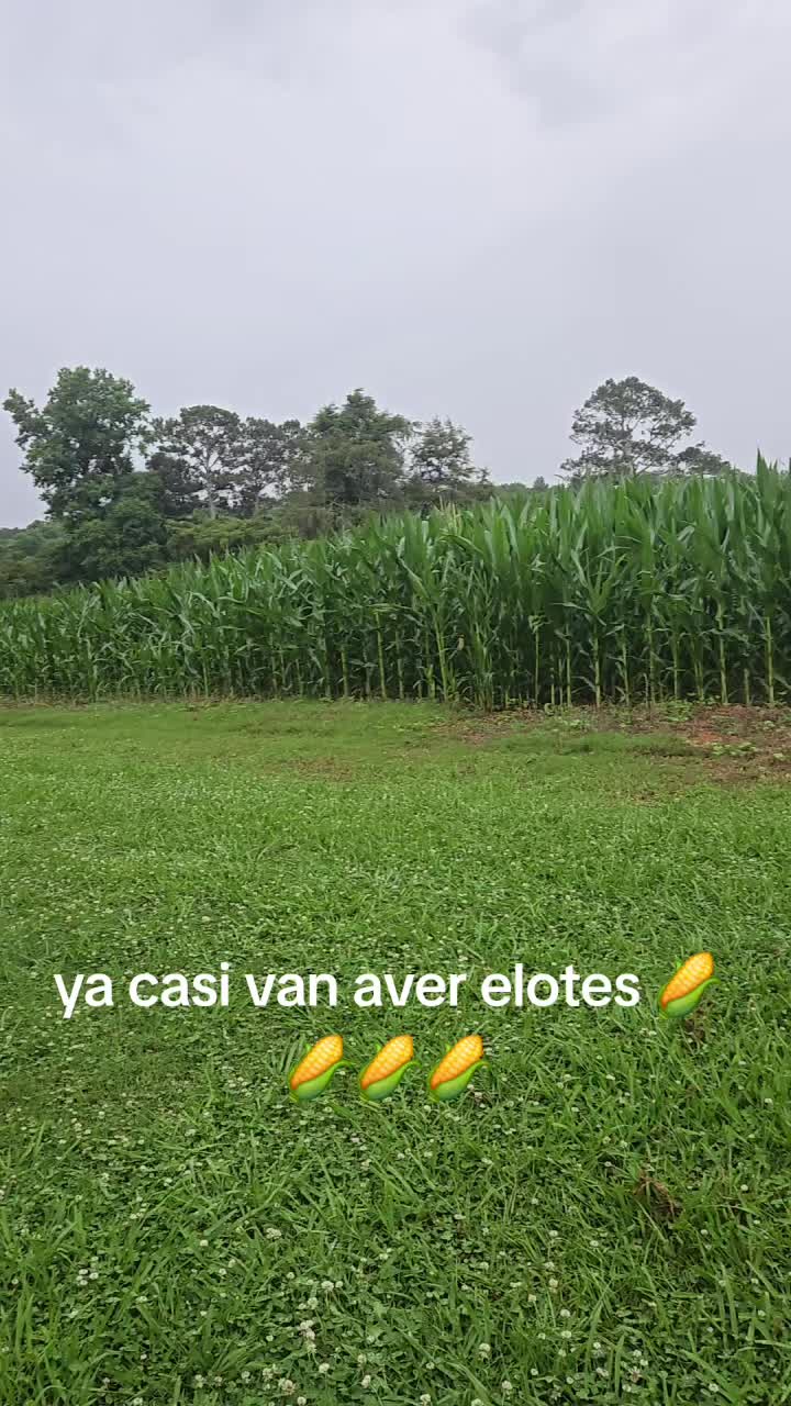 @Alexander menjivar