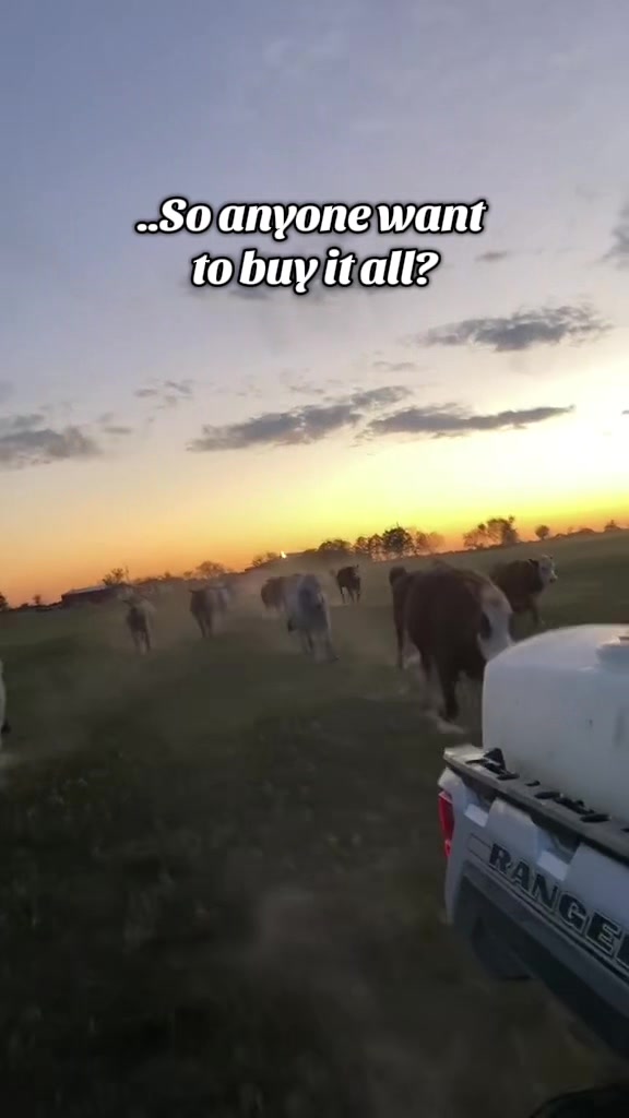 @The V6 Ranch
