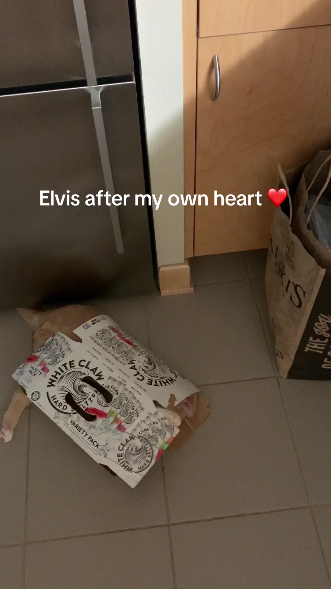 @🐈 Elvis & Friends 🐈
