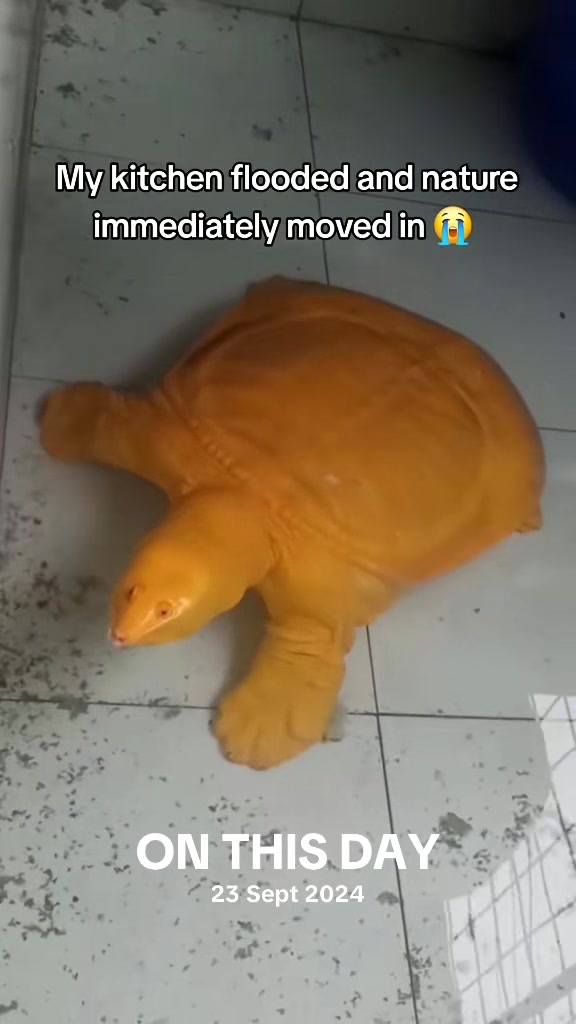 @Underrated Moments