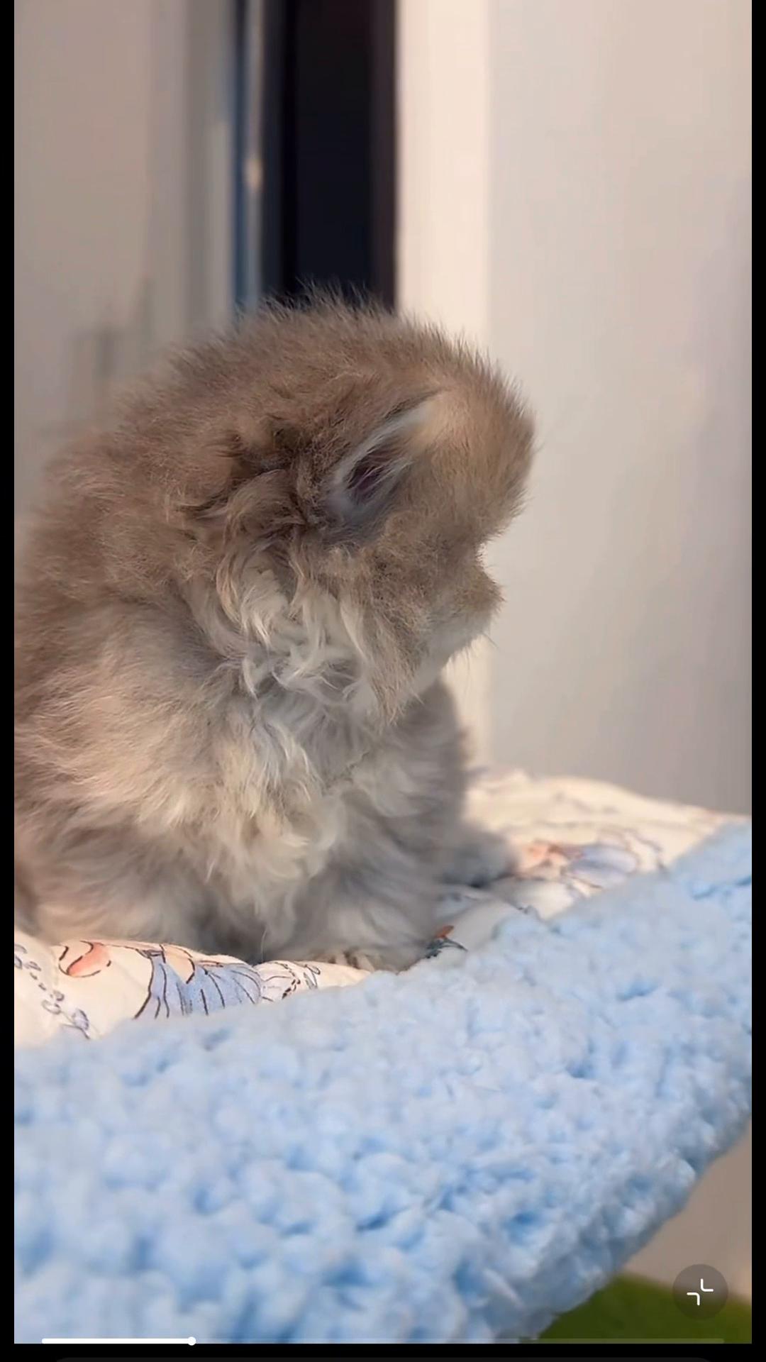 @My Daily Dose of Aww