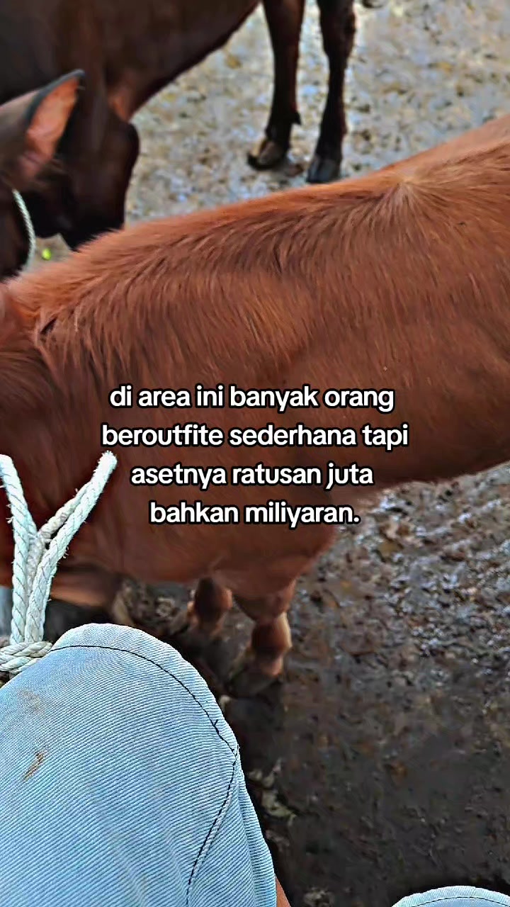 @SARJANA LEMBU☆