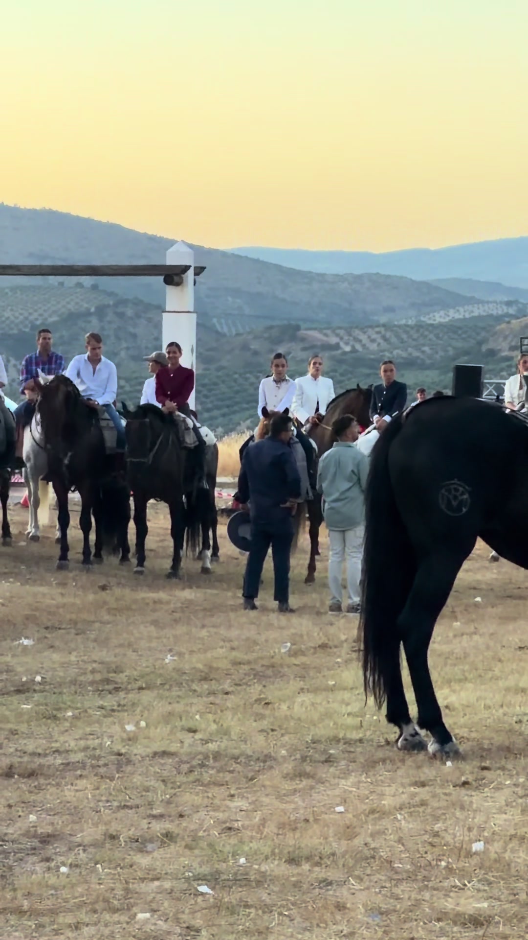@Sandra Molina🐎🇪🇸