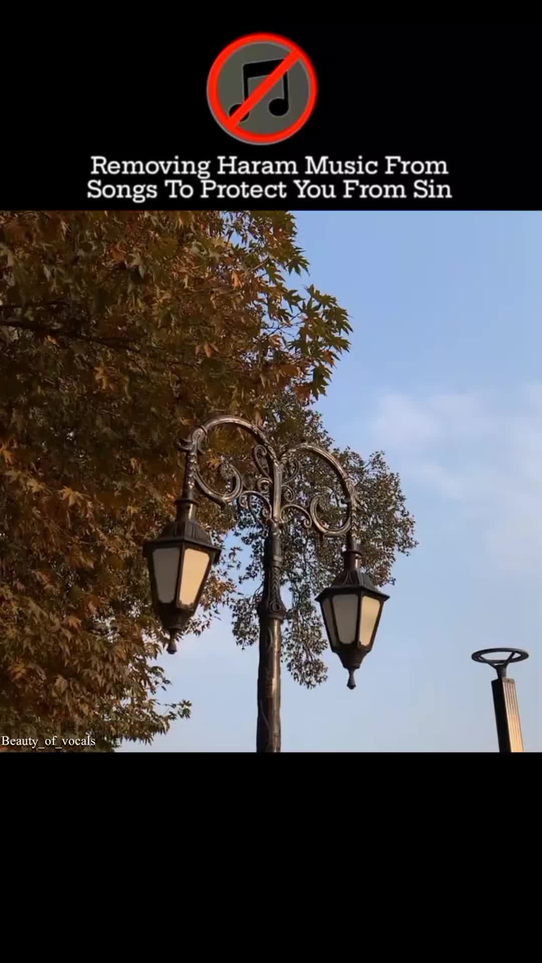 @𝐁𝐞𝐚𝐮𝐭𝐲_𝐨𝐟_𝐕𝐨𝐜𝐚𝐥𝐬