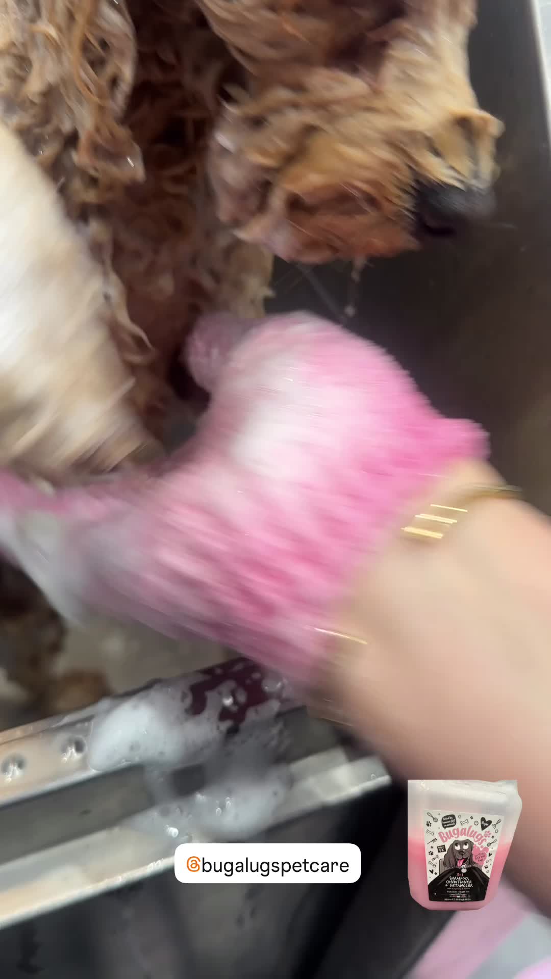 @DevenickDogs
