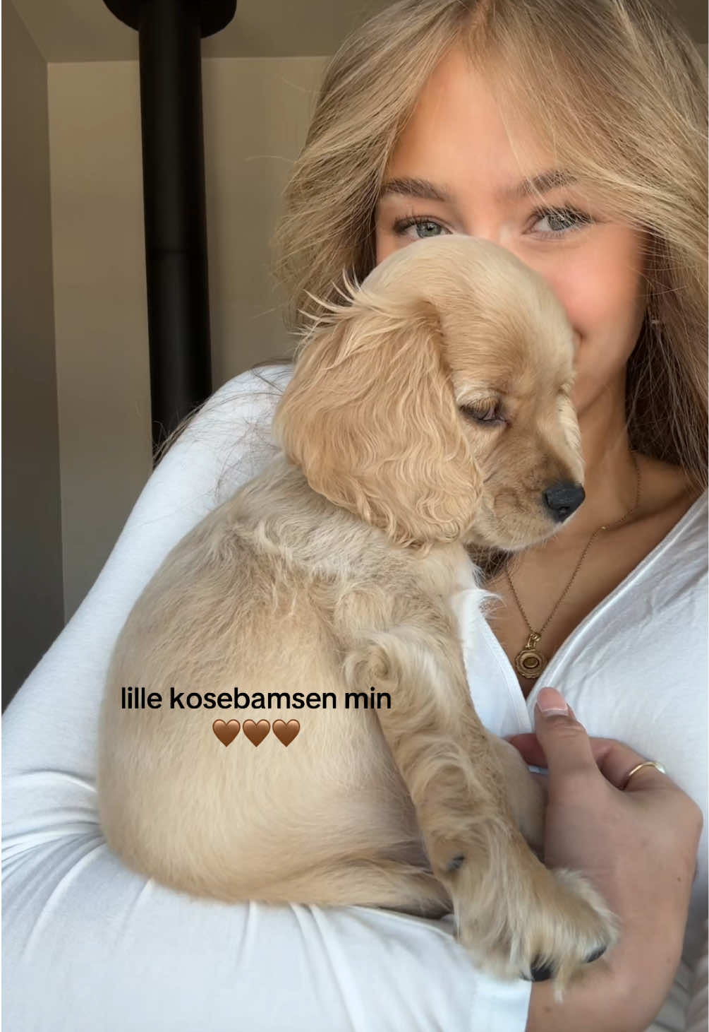 @Andrea Pettersen