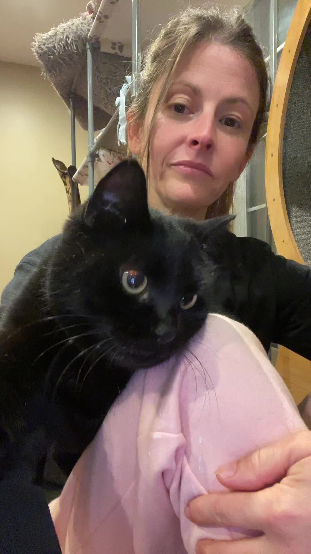 @Are We Home Yet? Cat Sanctuary