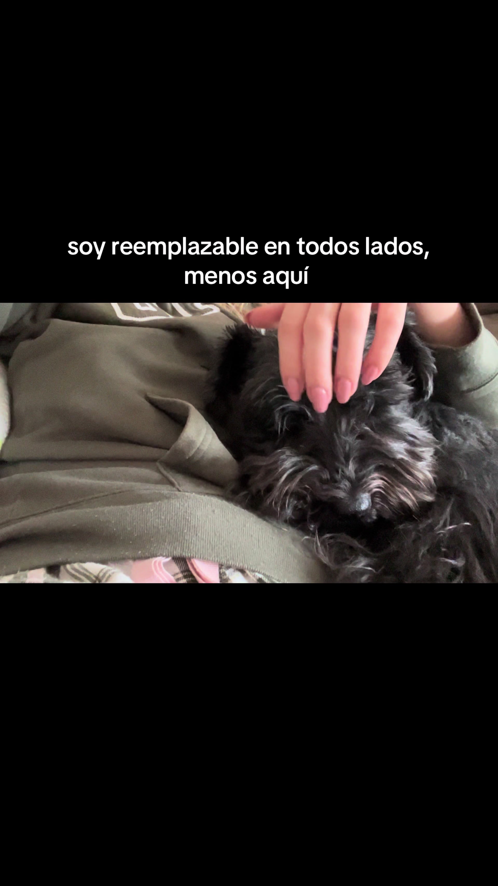@Elena